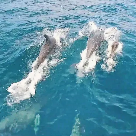 Del Sol By Algarve Vacation Quarteira